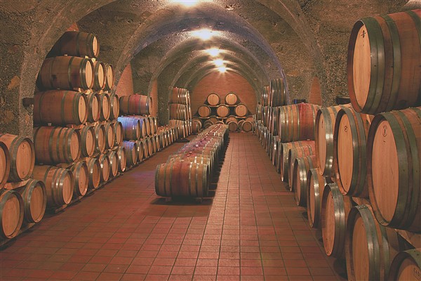 foto di una cantina con botti.