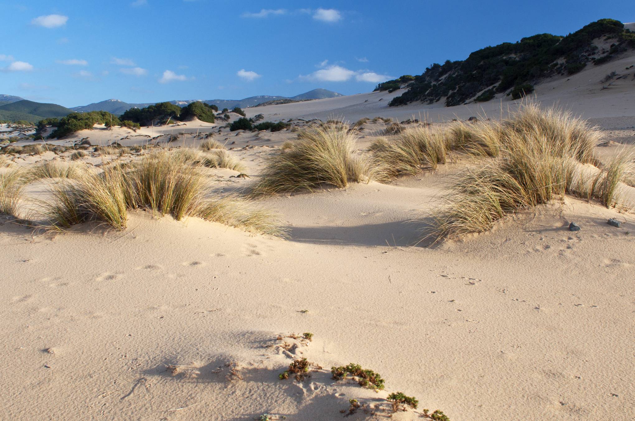 deserto-di-piscinas-sardegna