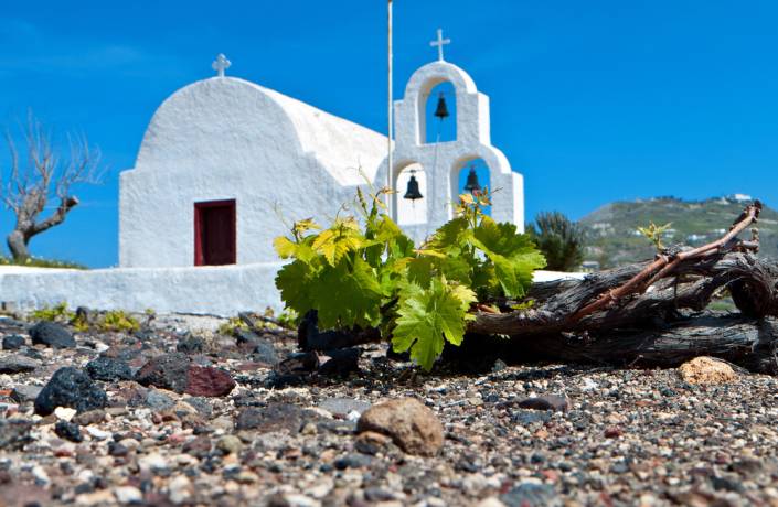 Grecia__Festival_del_vino_in_Drama__Nemea_e_Naoussa__scopri_la_festa_gastronomica_del_vino!