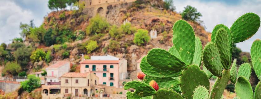 Autunno_siciliano__imperdibili_le_sagre_del_ficodindia_e_delle_castagne