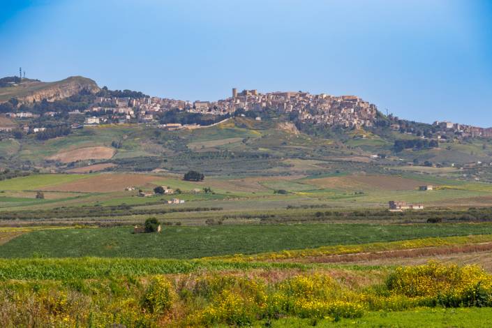 Spring landscape under the historic town of Salemi on the island