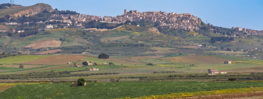 Spring landscape under the historic town of Salemi on the island