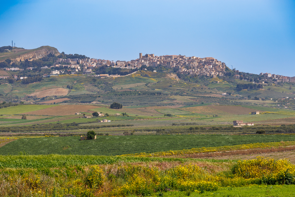 Spring landscape under the historic town of Salemi on the island
