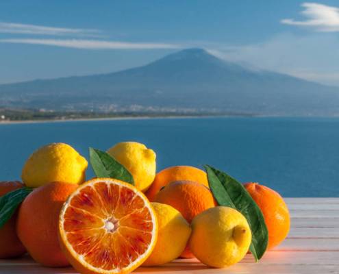 arance e limoni in primo piano. Sullo sfondo l'Etna e il mare di Sicilia.