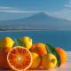 arance e limoni in primo piano. Sullo sfondo l'Etna e il mare di Sicilia.