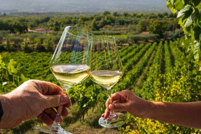 due calici di vino che brindano in un vigneto