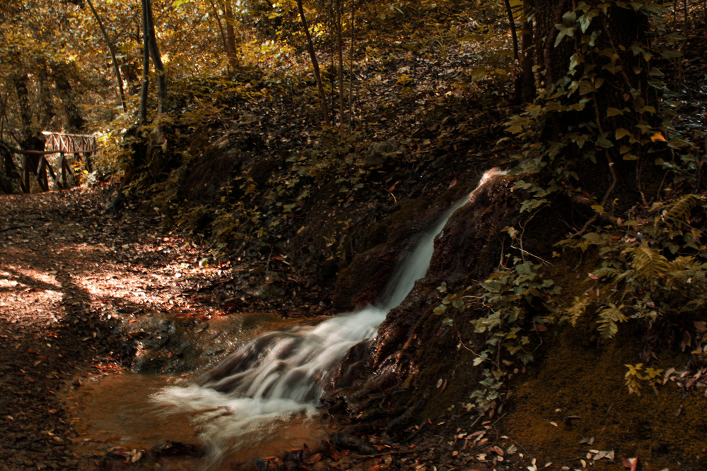 PICCOLA CASCATA D'ACQUA NEL BOSCO