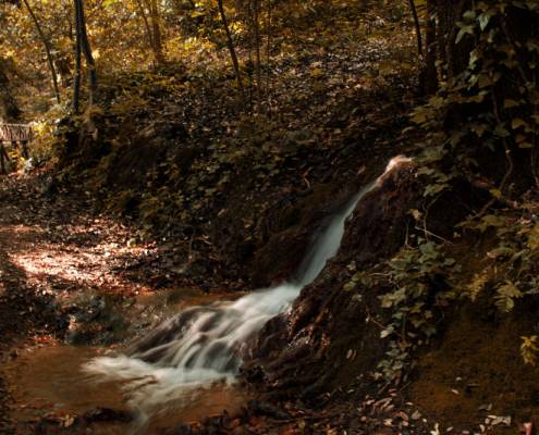 Foliage_e_natura_in_Sardegna__itinerari_avventurosi_tra_foreste__nuraghi_e_panorami_rossi cascata d'acqua in un bosco